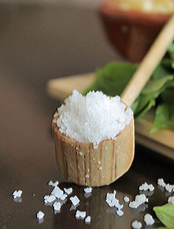 scoop-of-sea-salt-