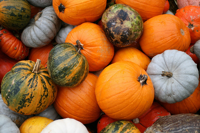 Pumpkins!